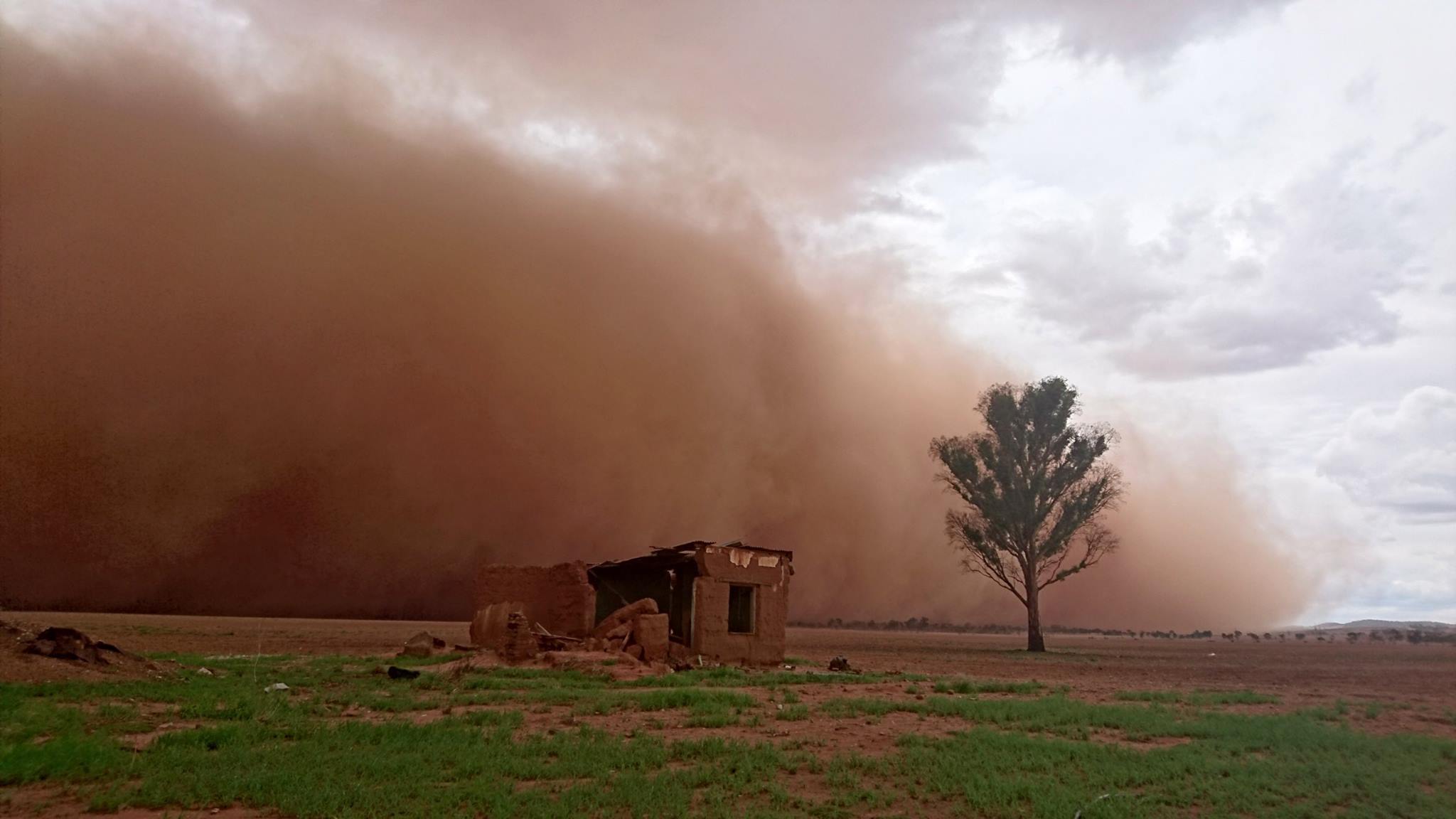 A dust storm rolls through near Freeling, South Australia, 17 March 2016. Credit: Craig Hese